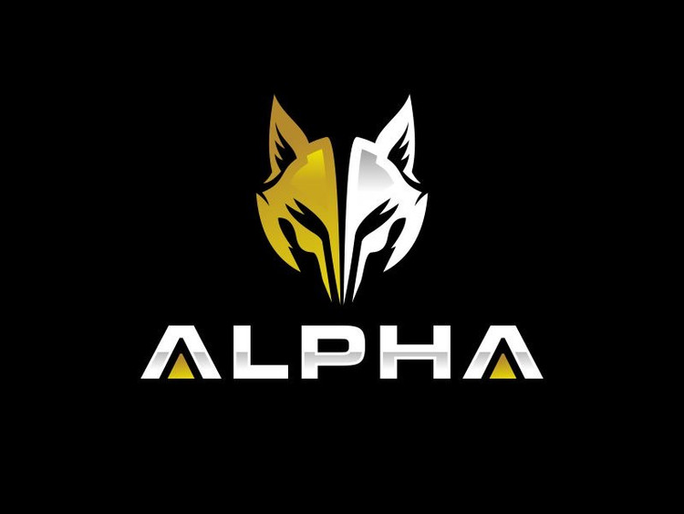 کویل موتور XU7 کروز Crouse اورجینال | از Alphapart